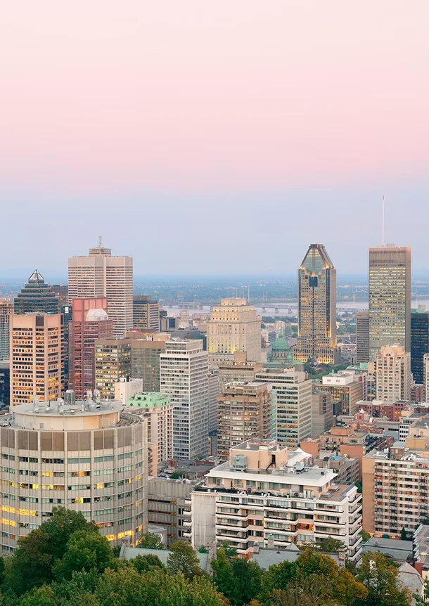 Right business franchise