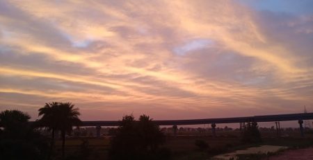 Budget-friendly franchise opportunity for beginners